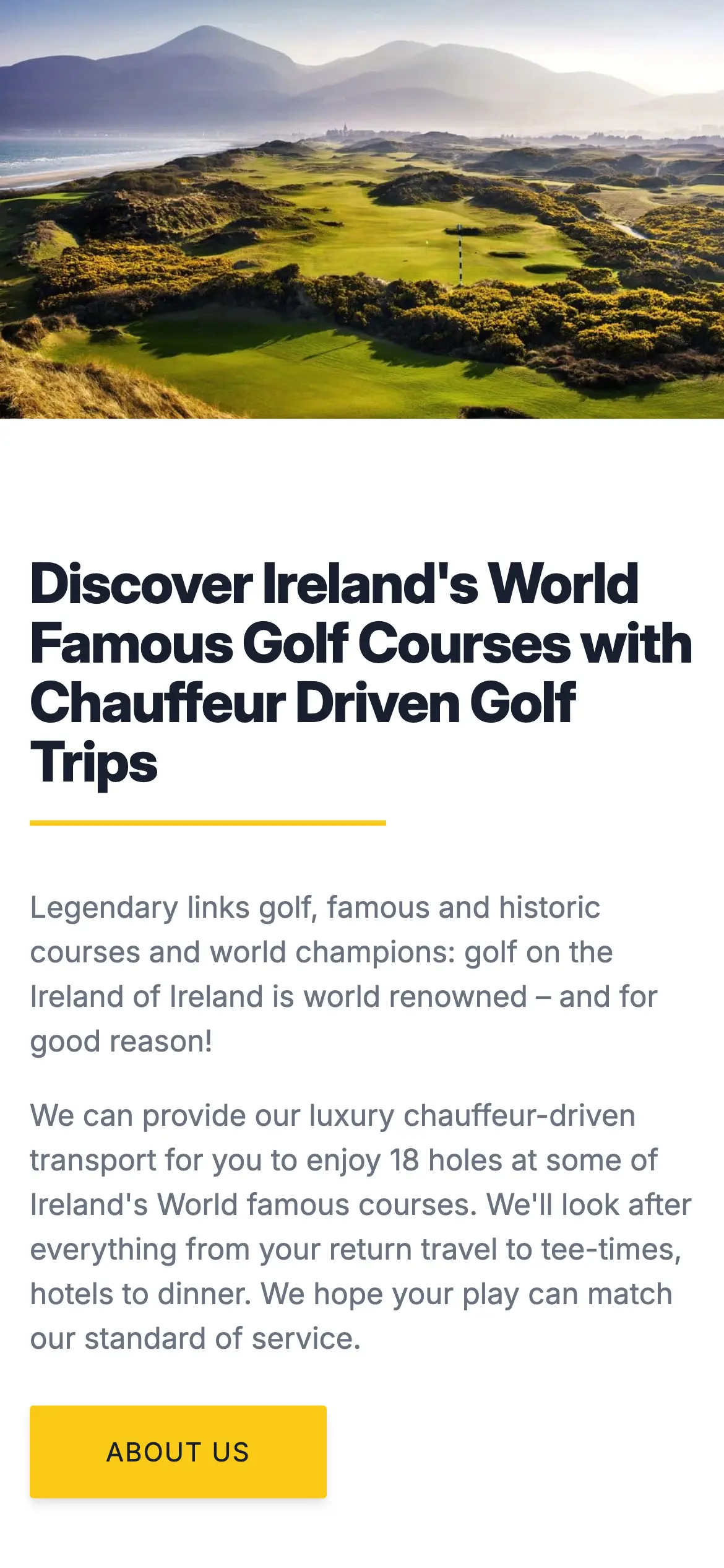 Chauffeur Me home page feature section on mobile