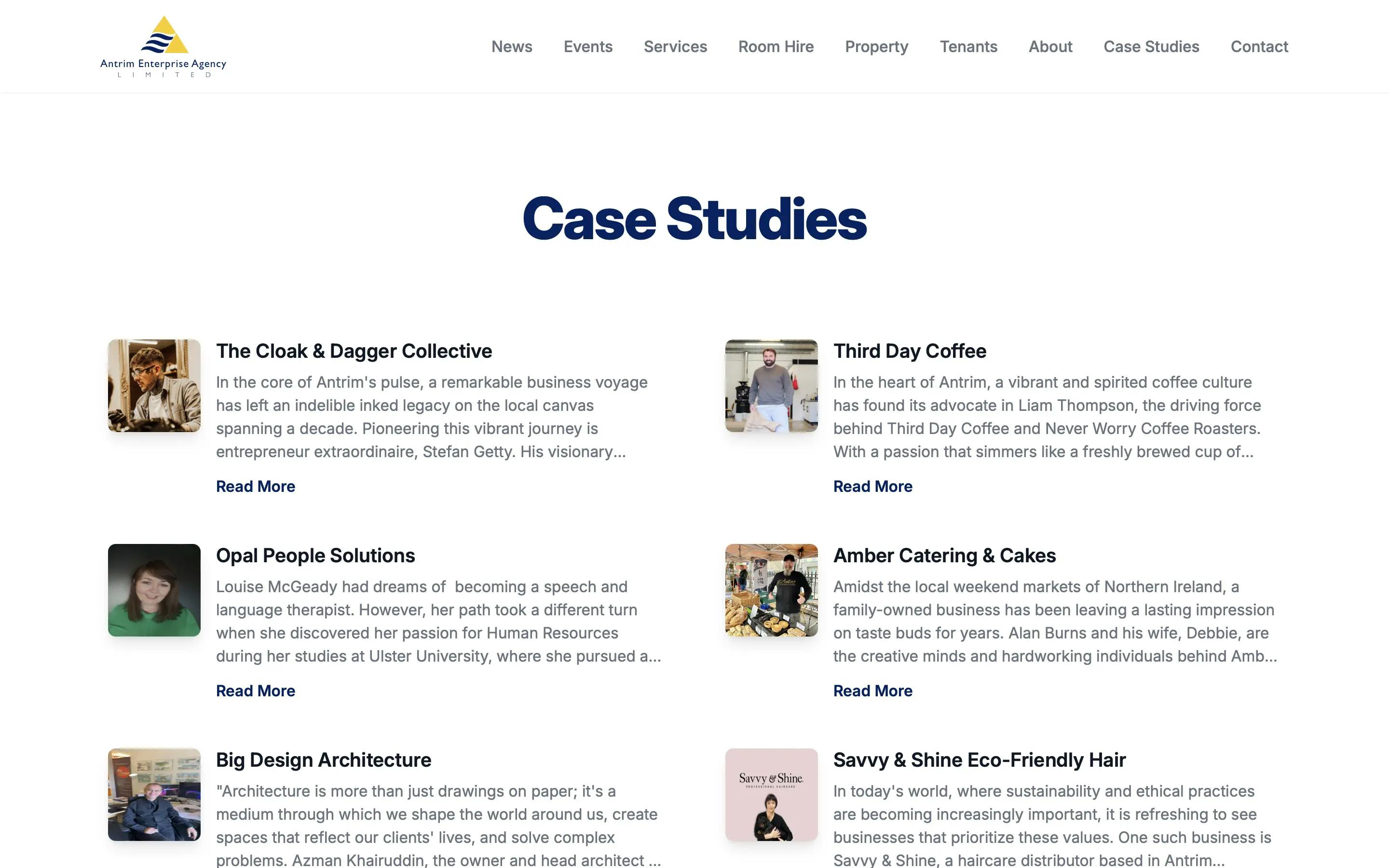 Antrim Enterprise Agency case studies page web design on desktop