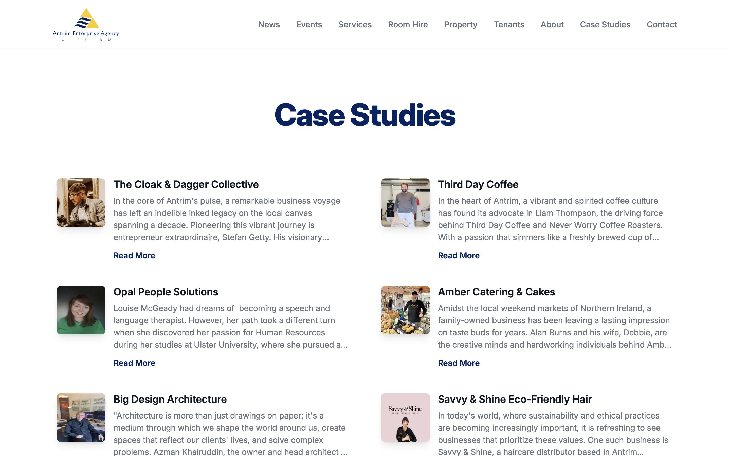 Antrim Enterprise Agency case studies page web design on desktop