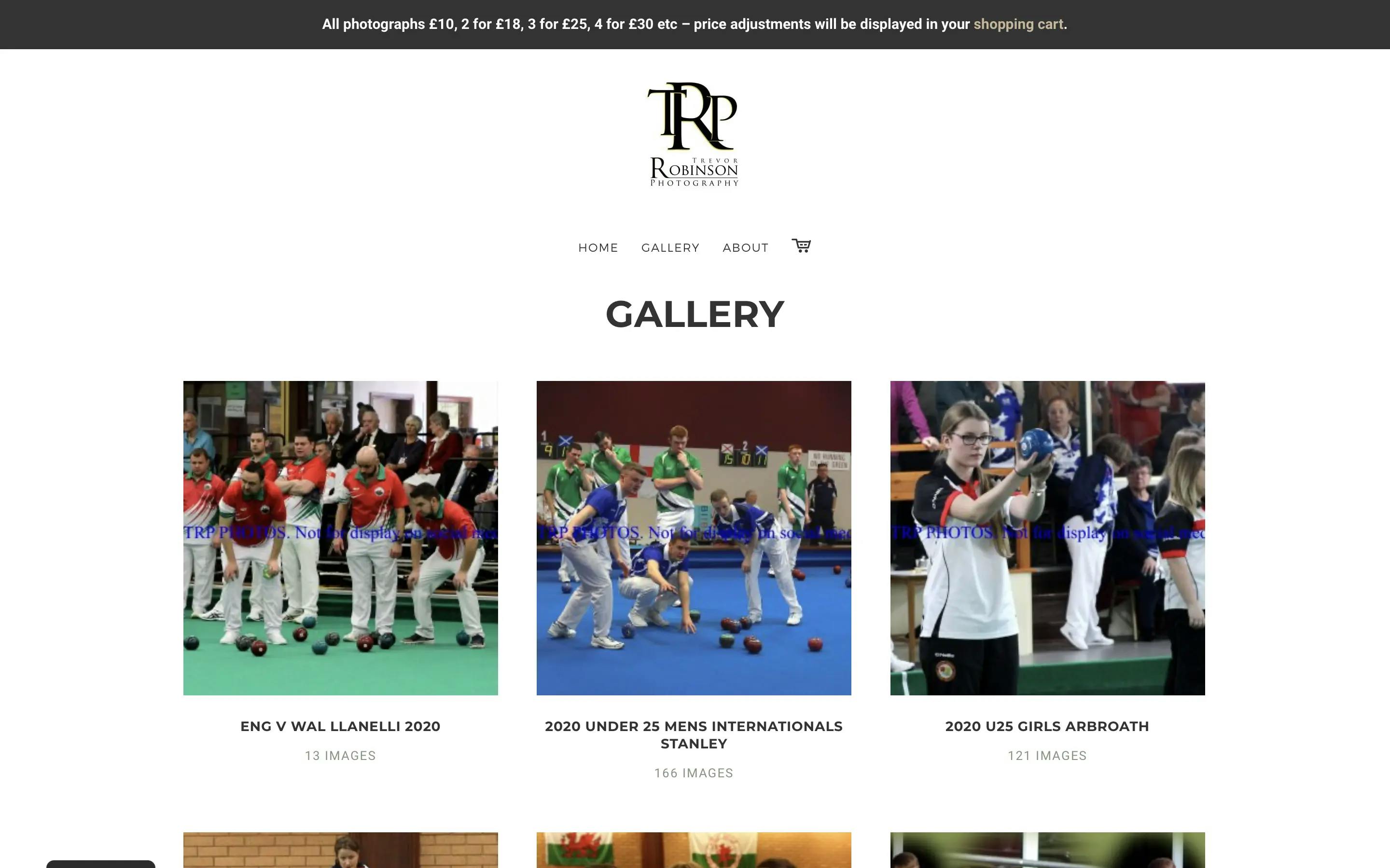 Trevor Robinson Photography Gallery Page on Desktop