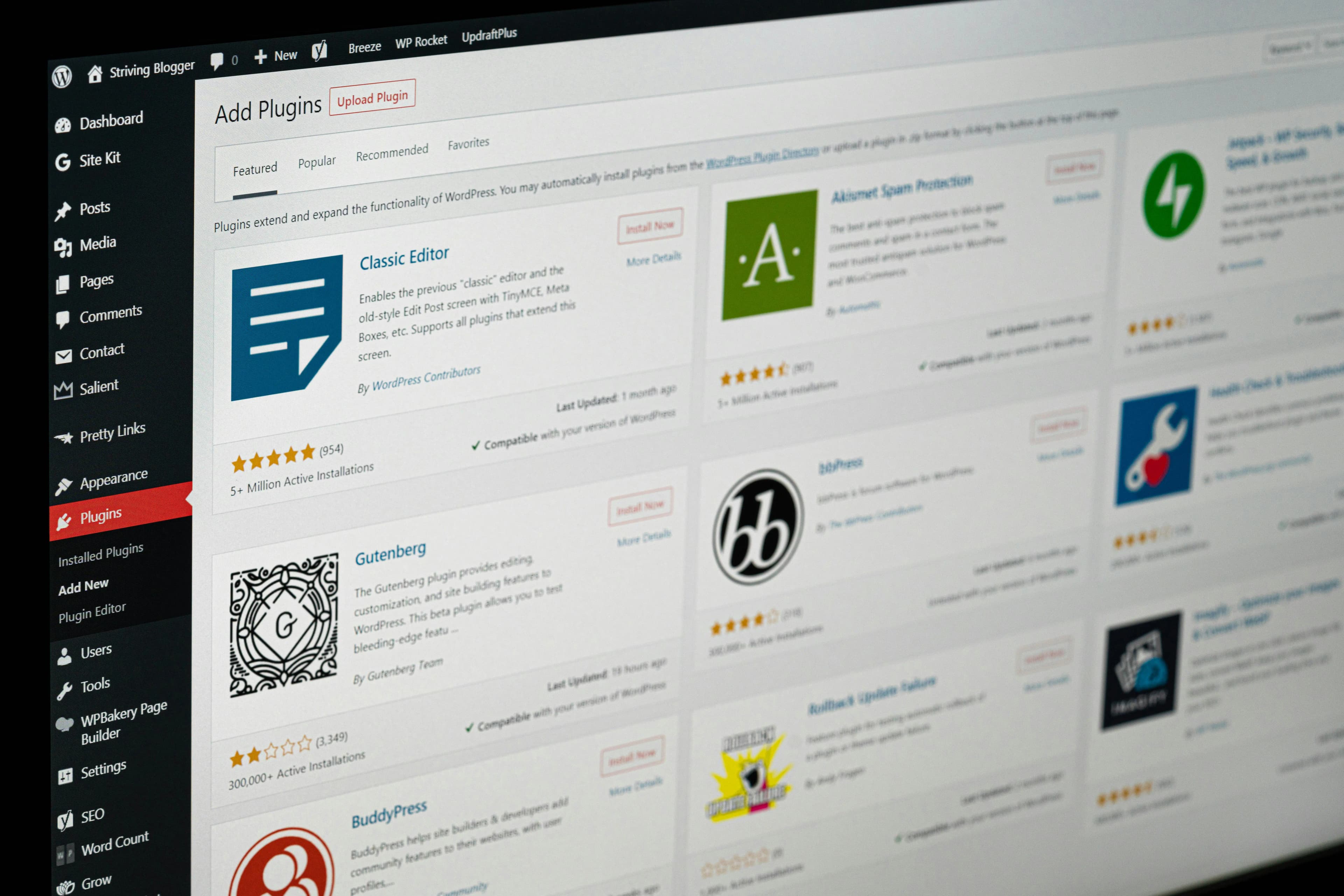 A Comprehensive Guide to WordPress Website Basics