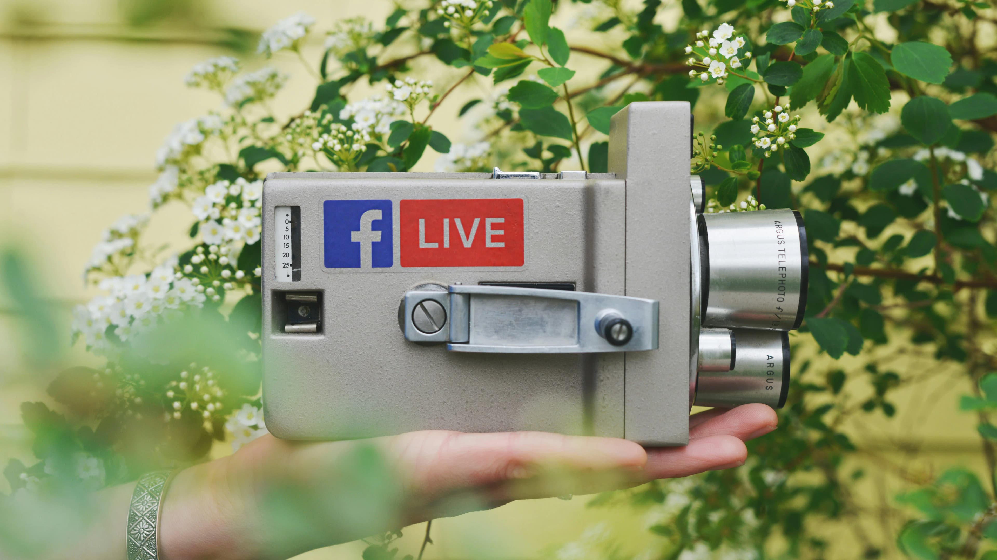 Unveiling the Hidden Gem: Facebook Influencer Marketing for Small Businesses